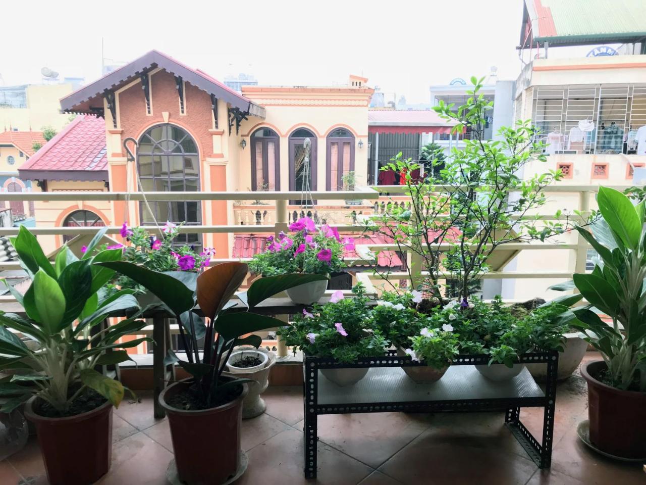 The Rose Home Hanoi Exteriör bild